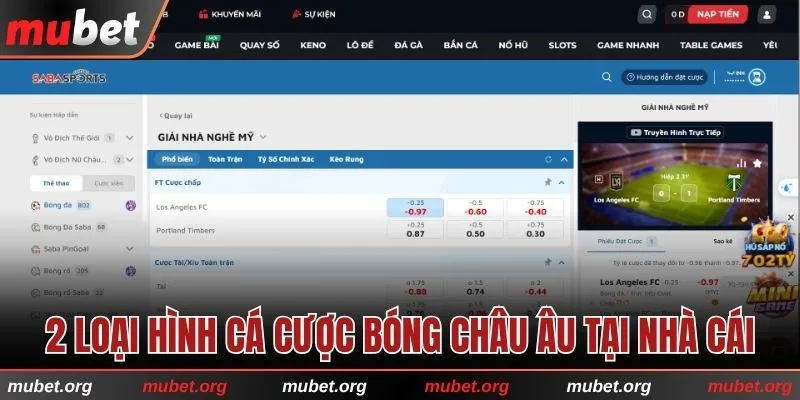 2 loại hình cá cược bóng châu Âu tại nhà cái