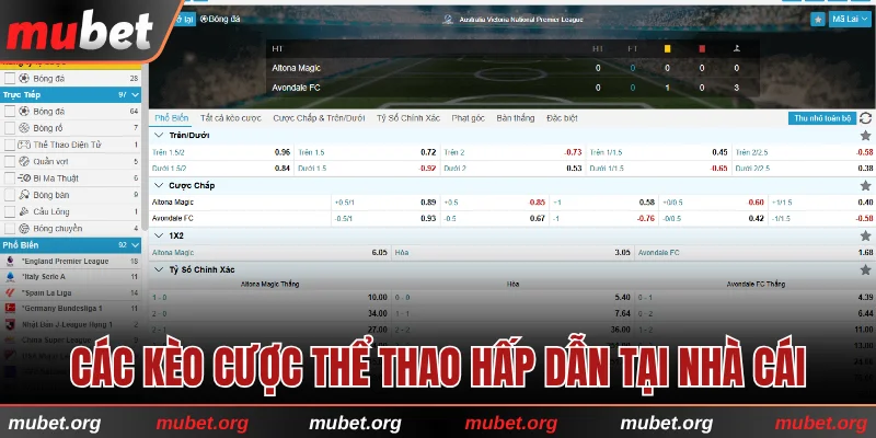 Các kèo cược thể thao phổ biến và hấp dẫn tại nhà cái