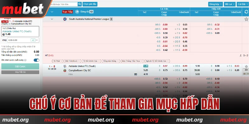 Chú ý cơ bản để tham gia mục hấp dẫn