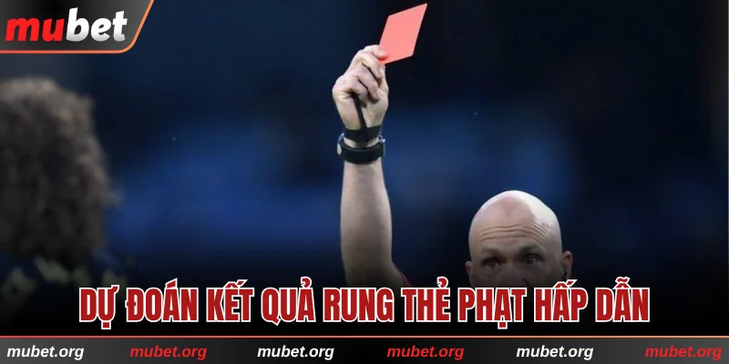 Dự đoán kết quả rung thẻ phạt hấp dẫn