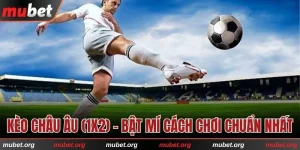 Kèo châu Âu (1x2)