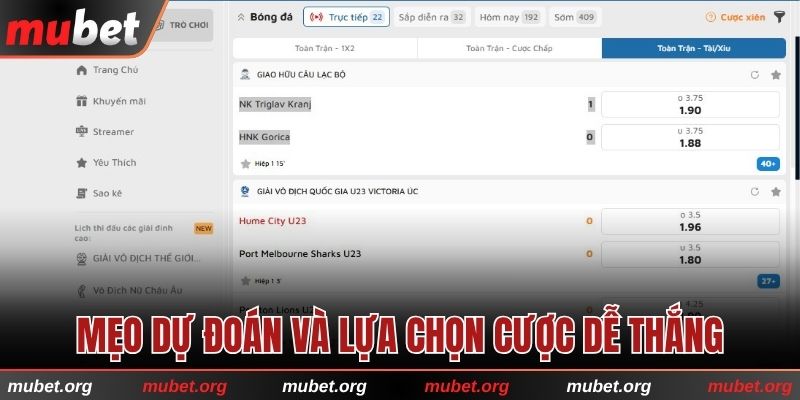 Mẹo dự đoán và lựa chọn cược dễ thắng