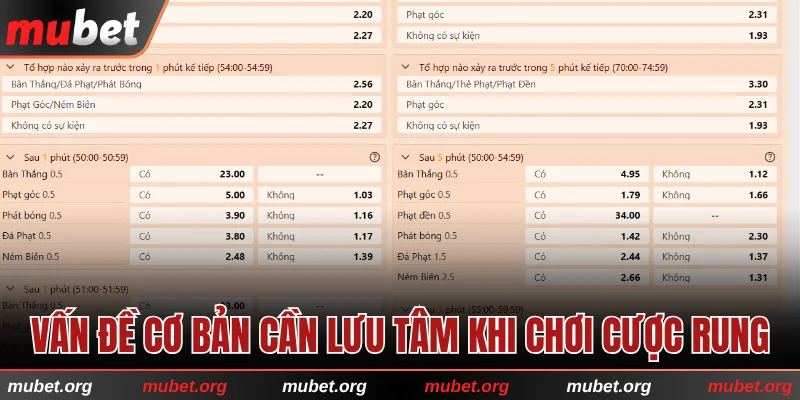 Một số vấn đề cơ bản cần lưu tâm khi chơi cược rung