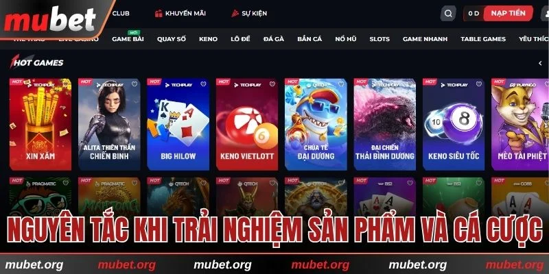 Nguyên tắc khi trải nghiệm sản phẩm và cá cược