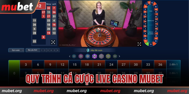 Quy trình cá cược live casino cụ thể tại nhà cái
