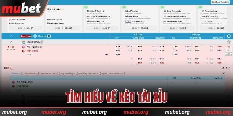 Tìm hiểu về kèo Tài Xỉu